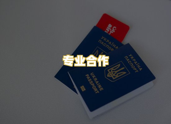 专业合作
